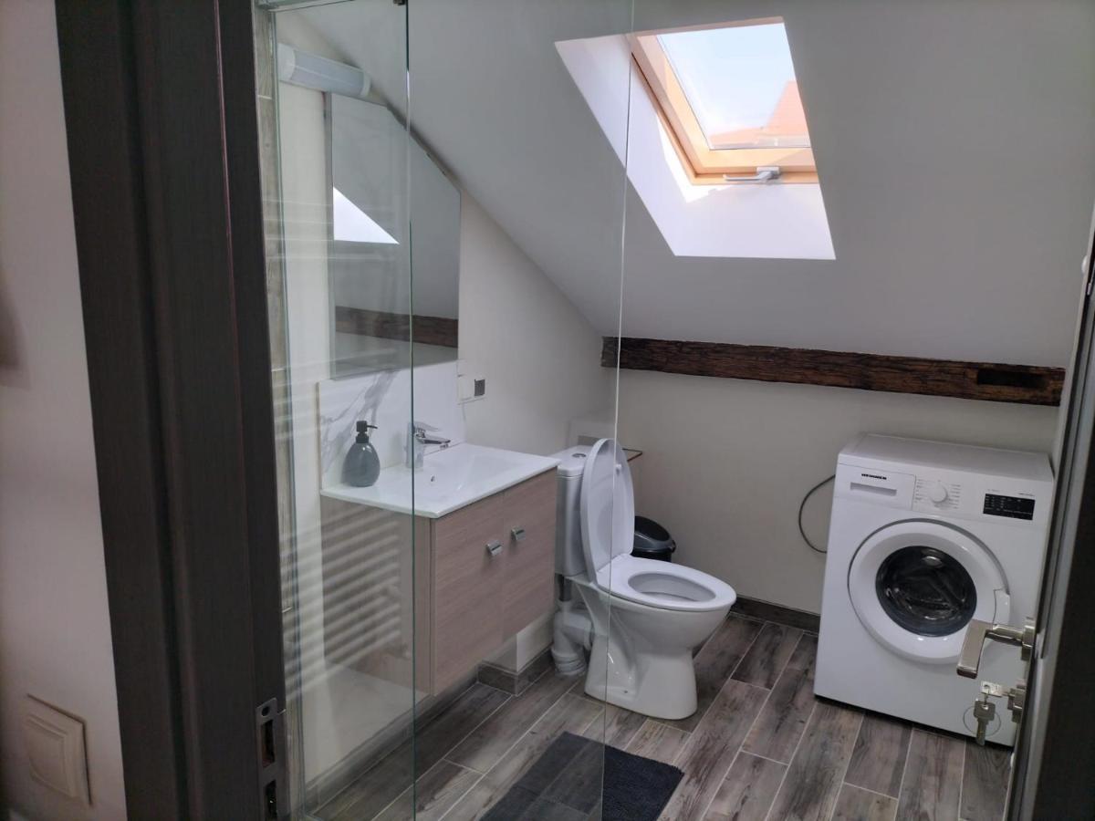 Cozy Loft Apartament Sighetu Marmaţiei Exteriör bild
